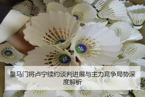 皇马门将卢宁续约谈判进展与主力竞争局势深度解析